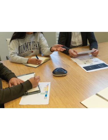 Speaker conference call