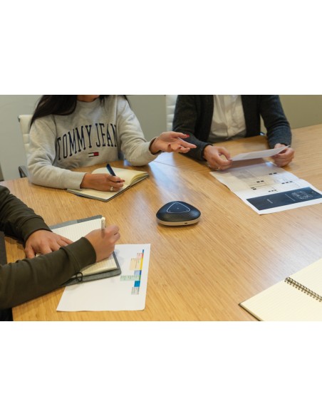 Speaker conference call