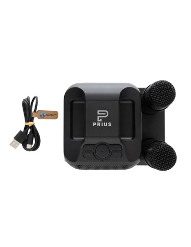 Karaoke con doppio microfono Singvibe in plastica RCS