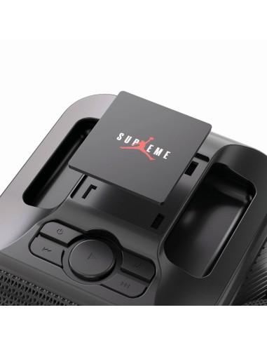 Karaoke con doppio microfono Singvibe in plastica RCS