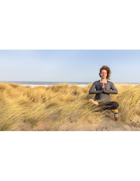 Bottiglia termica Impact in vetro borosilicato 360ml