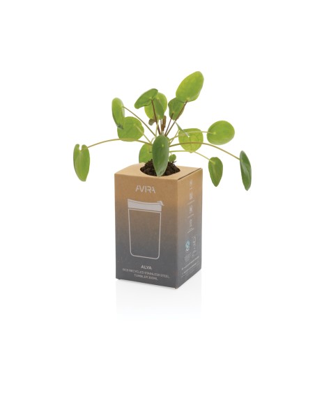 Tazza Avira Alya in acciaio riciclato RCS 300ml