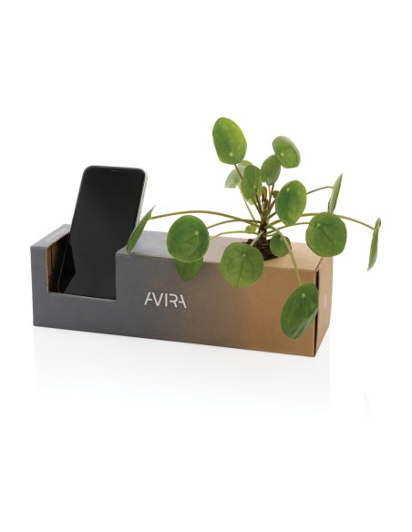 Bottiglia Avira Atik in PET riciclato RCS 1 L