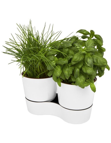 Mepal doppio vaso da cucina Herbs