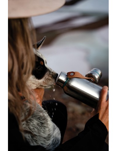 Bottiglia termica piccola Black+Blum 500ml