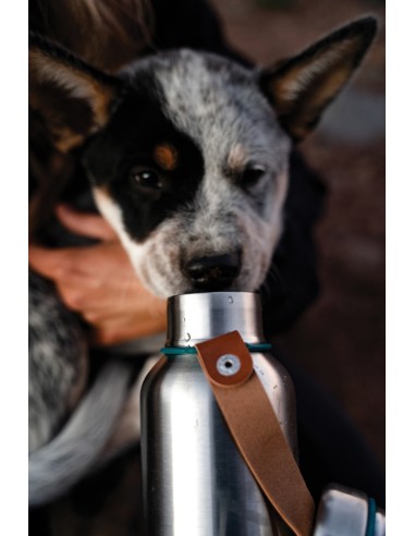 Bottiglia termica grande Black+Blum 750ml