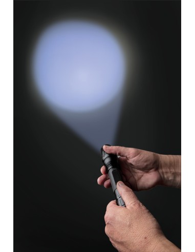 Torcia Heavy Duty CREE da 10W