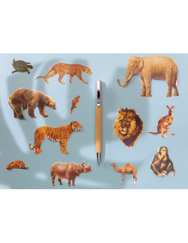 Moderna penna in bambù