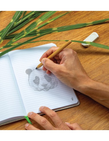 Matita Tree free infinity