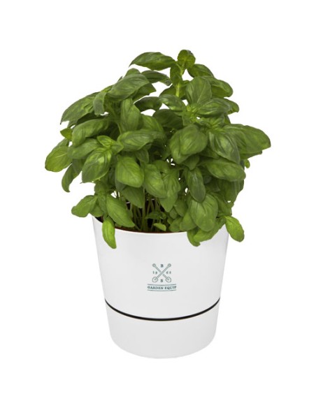 Mepal vaso da cucina singolo Herbs