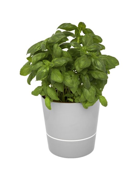 Mepal vaso da cucina singolo Herbs