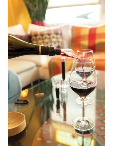 Set 4 pezzi Vino Connoisseur