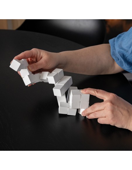 Rompicapo di legno in custodia di tela