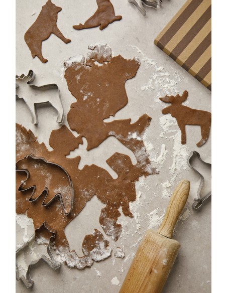 Set 5 stampini per biscotti VINGA Nordic