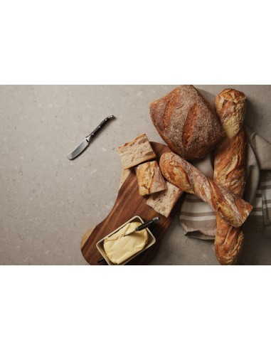 Coltelli per il burro VINGA Gigaro