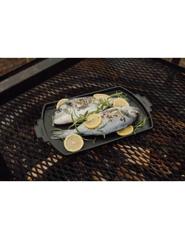 Burner VINGA Monte Ardoise