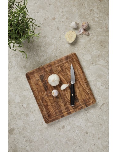 Spelucchino VINGA Tara in acciaio