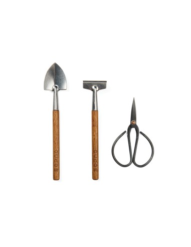 VINGA Story of garden