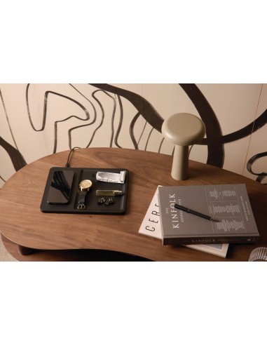 Caricatore e vassoio VINGA Timo RCS