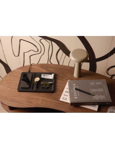 Caricatore e vassoio VINGA Timo RCS