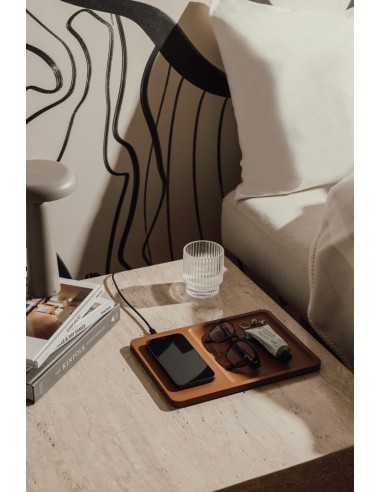 Caricatore e vassoio VINGA Timo RCS