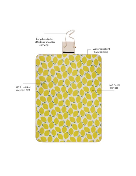 Coperta da picnic VINGA Arwe GRS