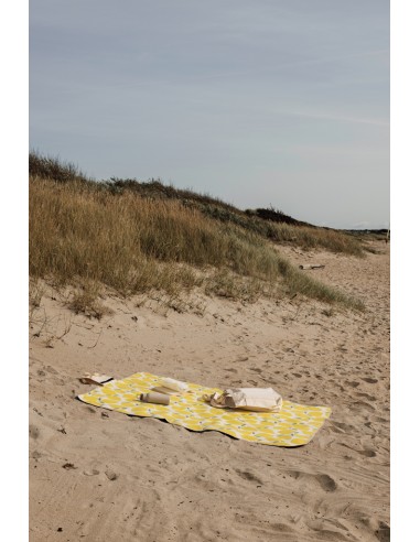 Coperta da picnic VINGA Arwe GRS