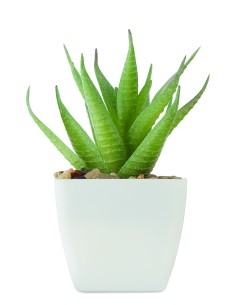 Mini pianta artificiale