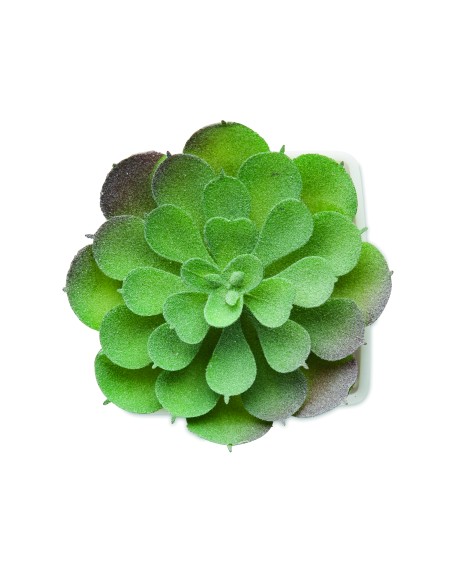 Mini pianta artificiale