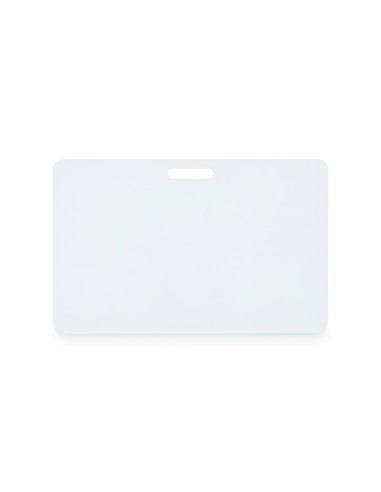 Badge con lanyard 54 x 86 mm