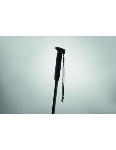 Bastone telescopico