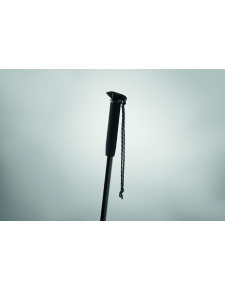 Bastone telescopico
