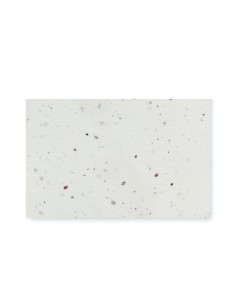 Biglietto da visita con semi di fi