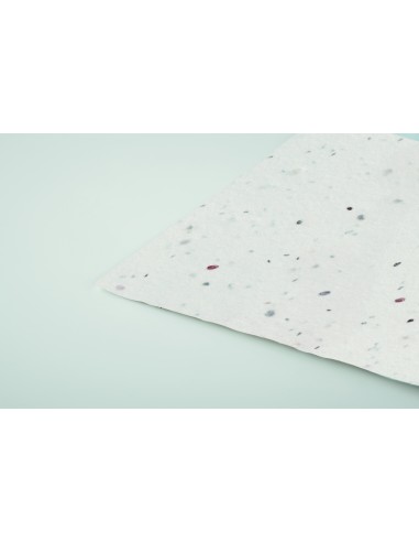 Biglietto da visita con semi di fi