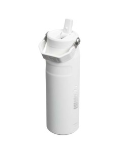 Borraccia da 700 ml con cannuccia a scatto Stanley IceFlow™ 2.0