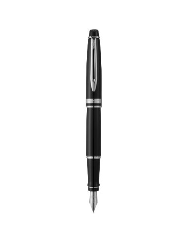 Waterman penna stilografica Expert (inchiostro blu)