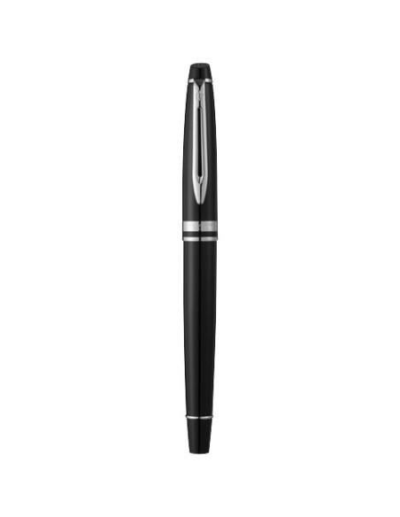 Waterman penna stilografica Expert (inchiostro blu)
