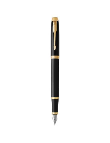Parker penna stilografica IM (inchiostro blu)