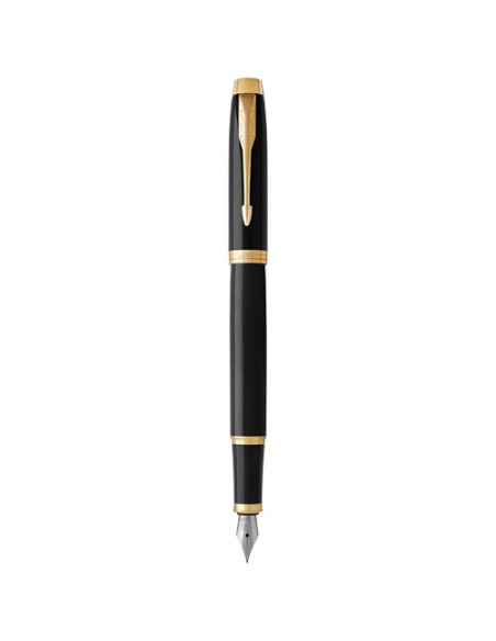Parker penna stilografica IM (inchiostro blu)