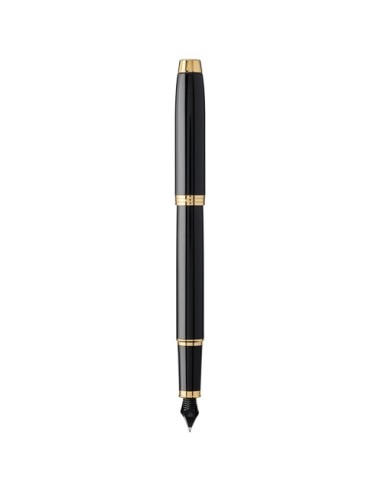 Parker penna stilografica IM (inchiostro blu)