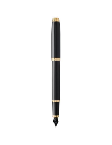 Parker penna stilografica IM (inchiostro blu)
