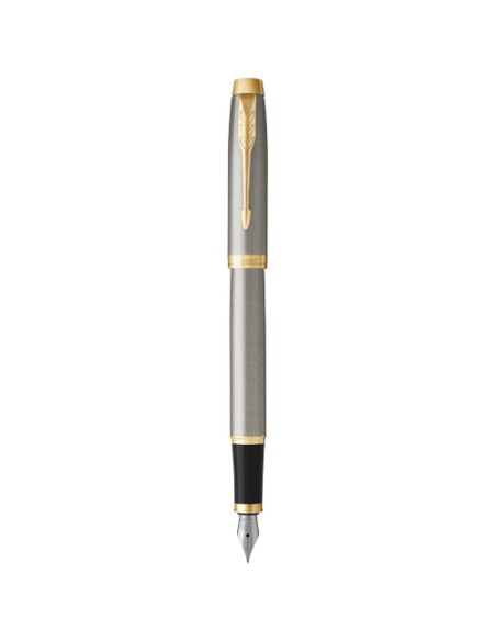 Parker penna stilografica IM (inchiostro blu)