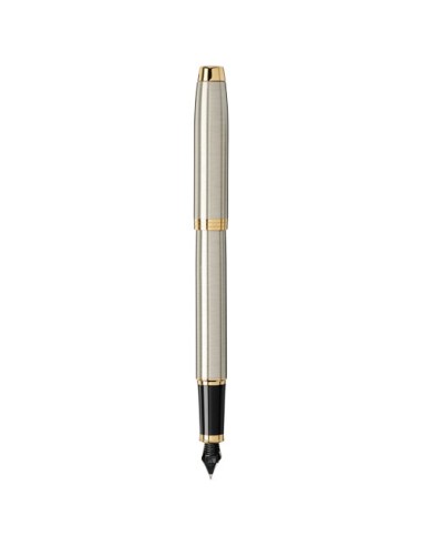Parker penna stilografica IM (inchiostro blu)