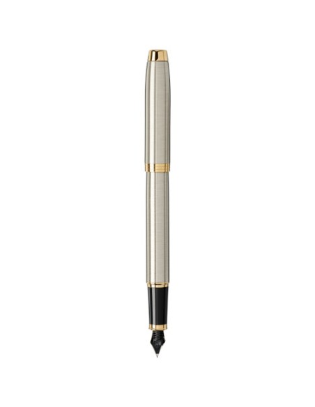 Parker penna stilografica IM (inchiostro blu)