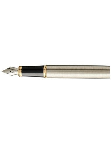 Parker penna stilografica IM (inchiostro blu)