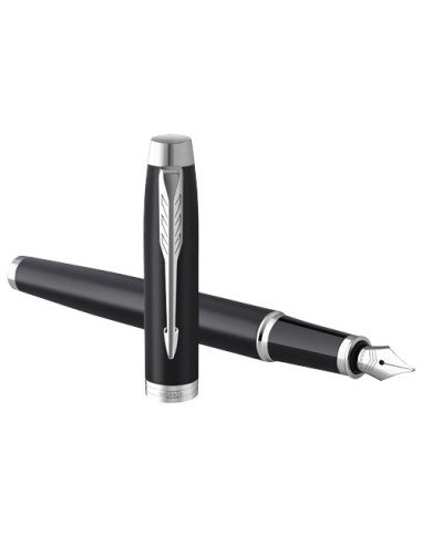 Parker penna stilografica IM (inchiostro blu)