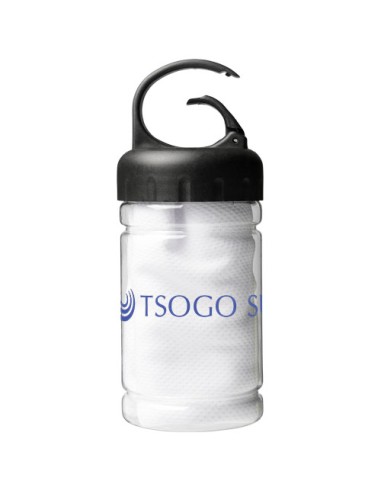 Asciugamano rinfrescante in contenitore PET Remy