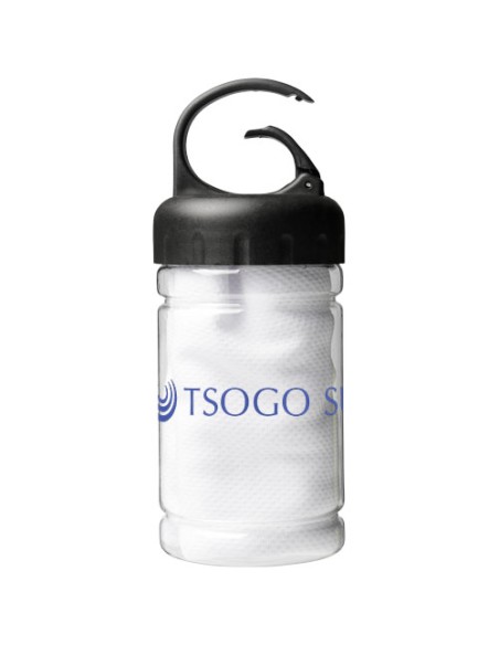 Asciugamano rinfrescante in contenitore PET Remy