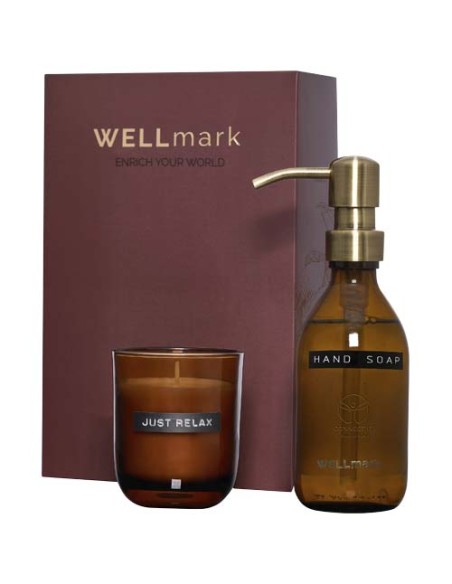 Set di dispenser di sapone per le mani da 250 ml e candela profumata da 150 g Wellmark Discovery