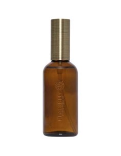 Nebulizzatore per ambienti da 100 ml Wellmark